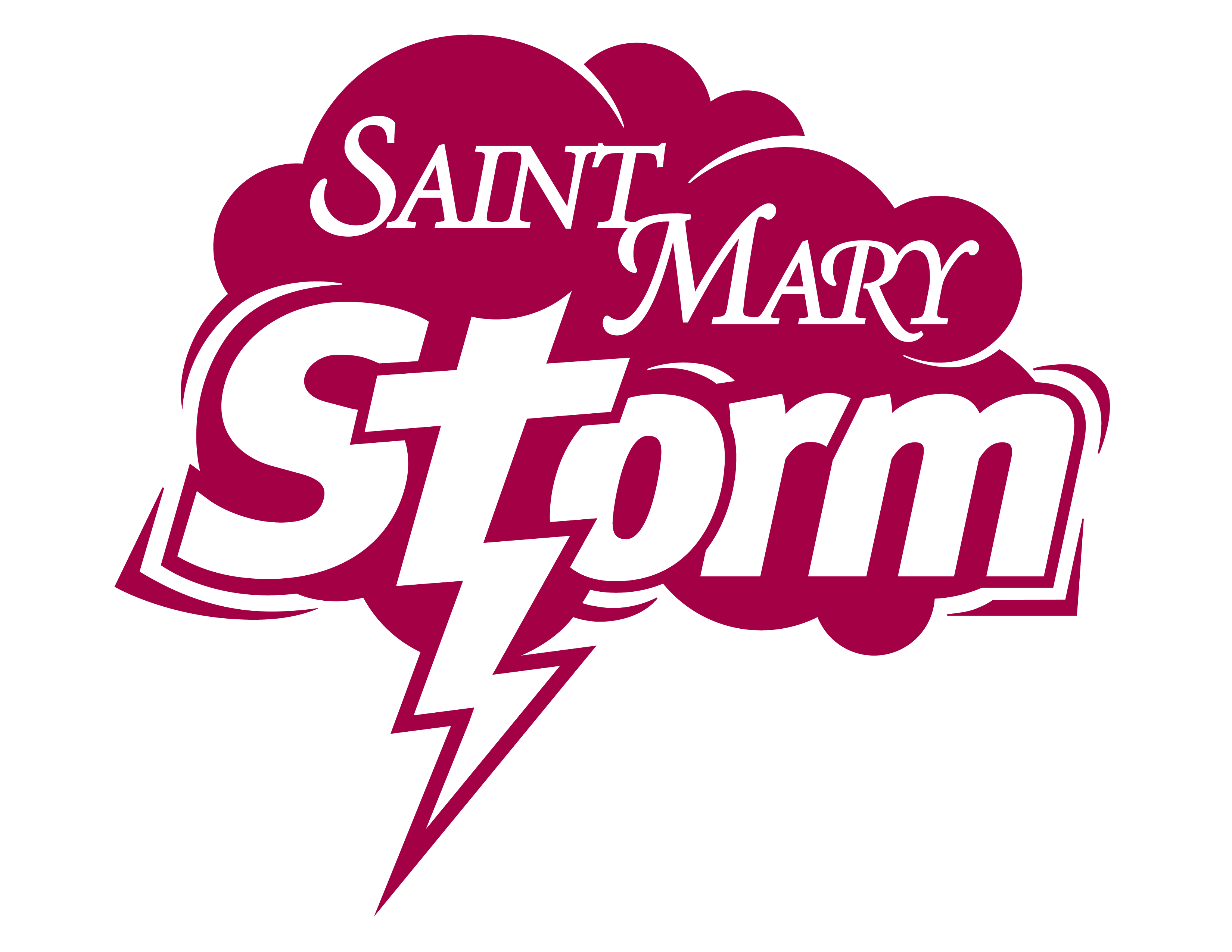 Storm Logo