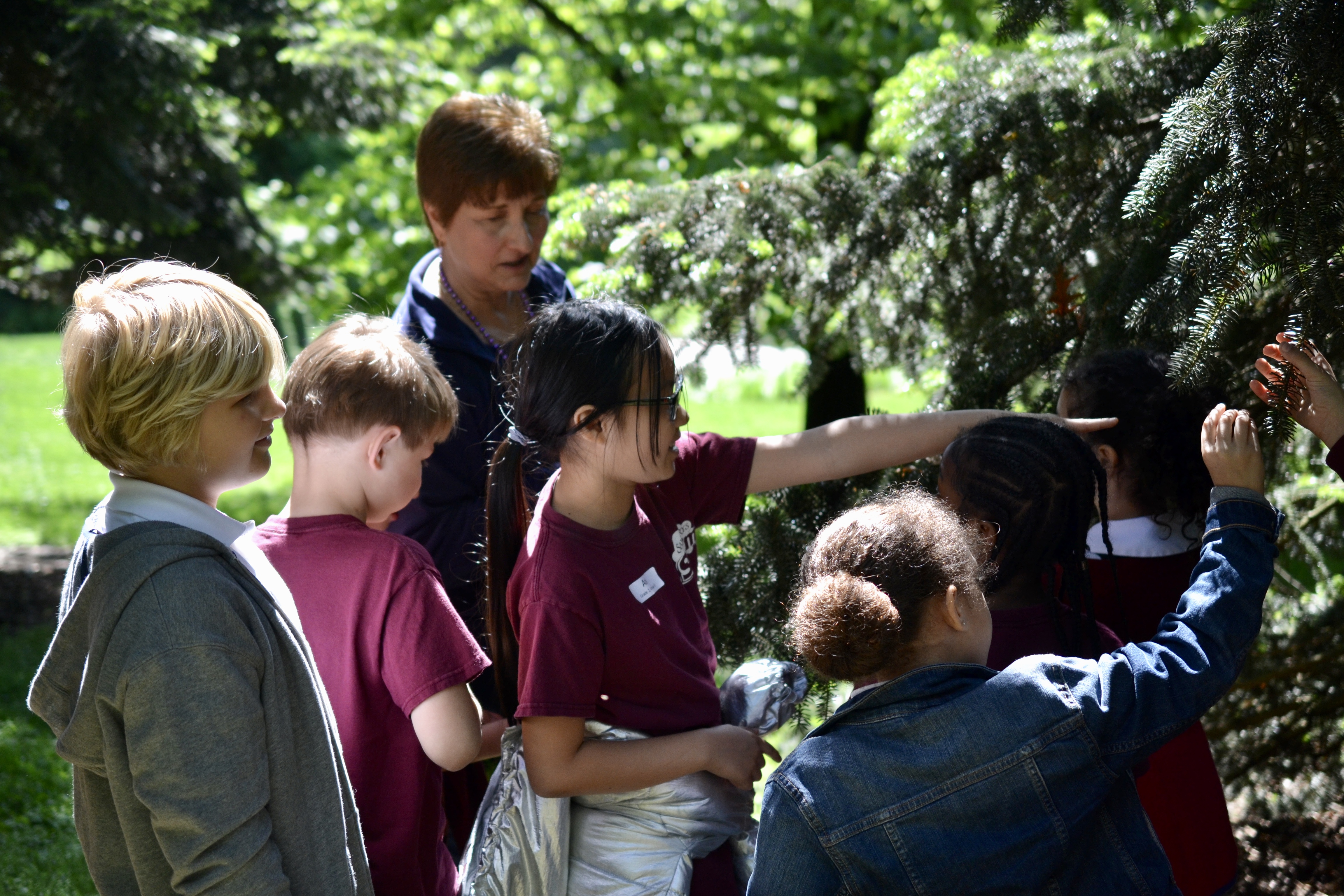 Field Trip