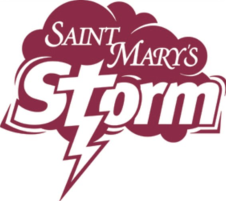 Storm Logo